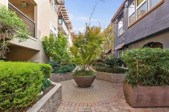 4388 El Camino Real 168, Los Altos, California 94022