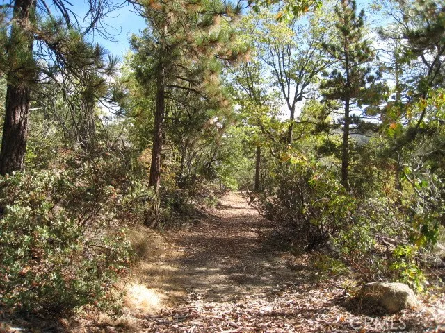 DEEP CREEK HIKING AREA