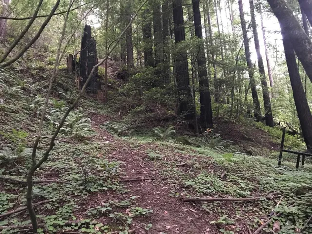 925 Cazadero Highway, Cazadero, California 95421