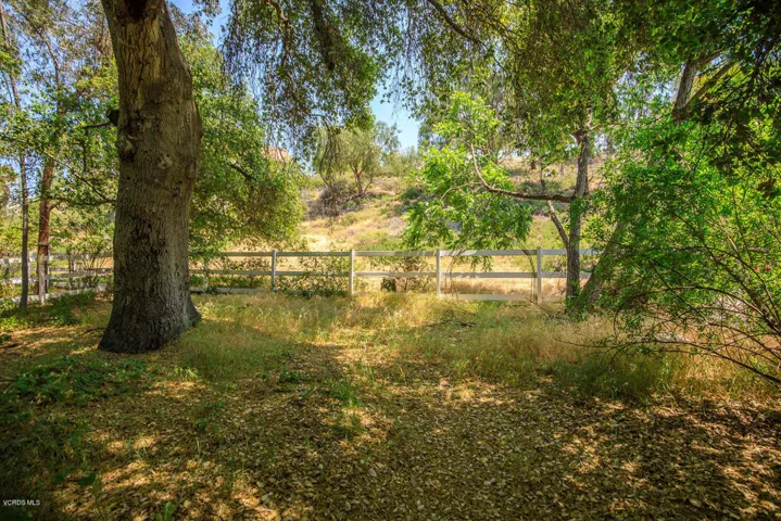15529 Saddleback Rd Santa-large-077-83-S