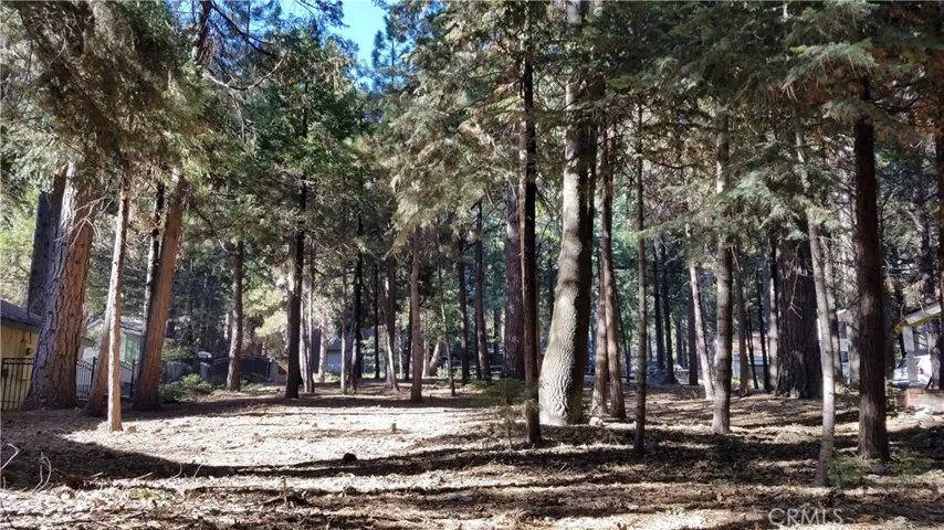 31377 Firwood Drive, Running Springs, California 92382