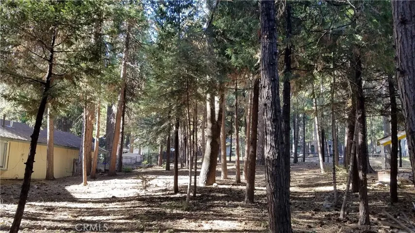 31377 Firwood Drive, Running Springs, California 92382