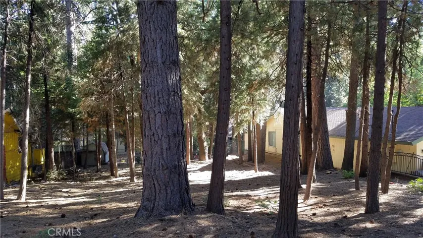 31377 Firwood Drive, Running Springs, California 92382