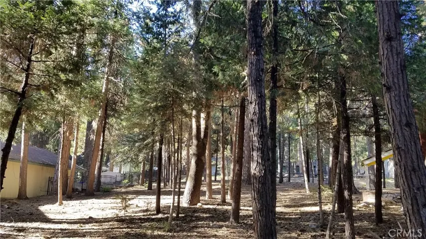 31377 Firwood Drive, Running Springs, California 92382