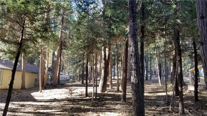 31377 Firwood Drive, Running Springs, California 92382