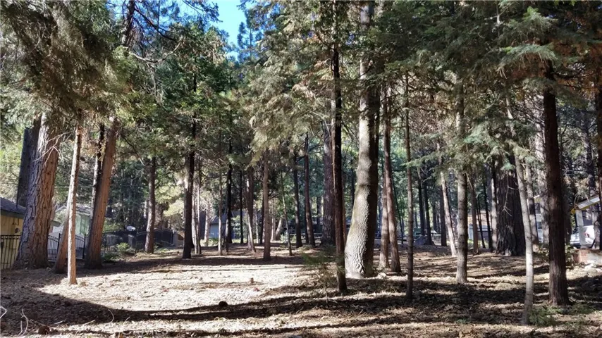 31377 Firwood Drive, Running Springs, California 92382