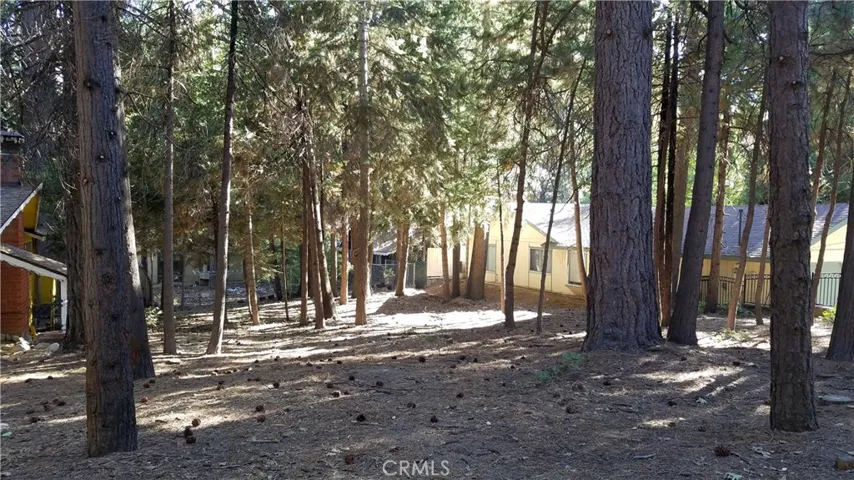 31377 Firwood Drive, Running Springs, California 92382