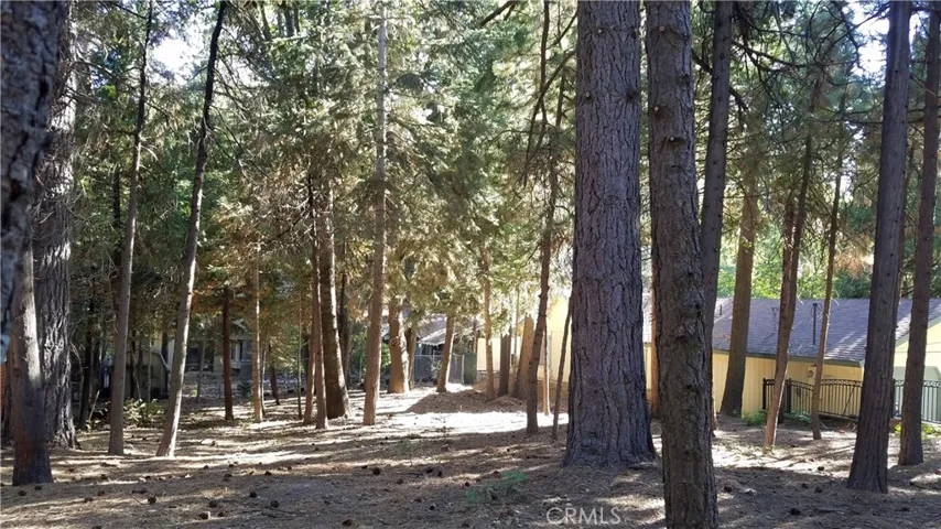 31377 Firwood Drive, Running Springs, California 92382