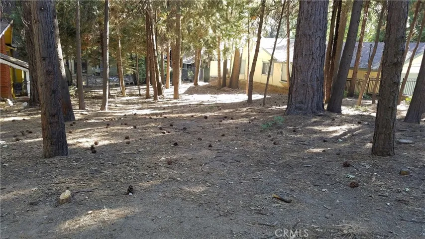 31377 Firwood Drive, Running Springs, California 92382