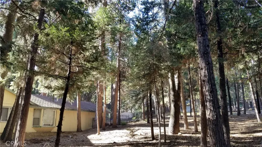 31377 Firwood Drive, Running Springs, California 92382