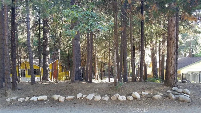 31377 Firwood Drive, Running Springs, California 92382
