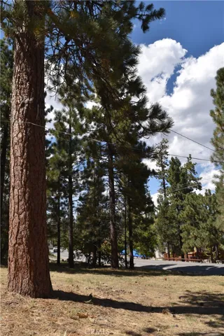 40313 Lakeview Drive, Big Bear, California 92315