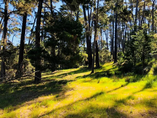 2901 Bird Rock Road, Pebble Beach, California 93953