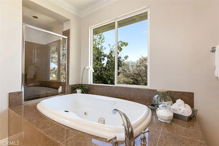Jetted soaking tub and incredible Walk-in Shower