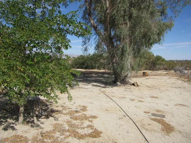3129 Frying Pan, Borrego Springs, California 92004