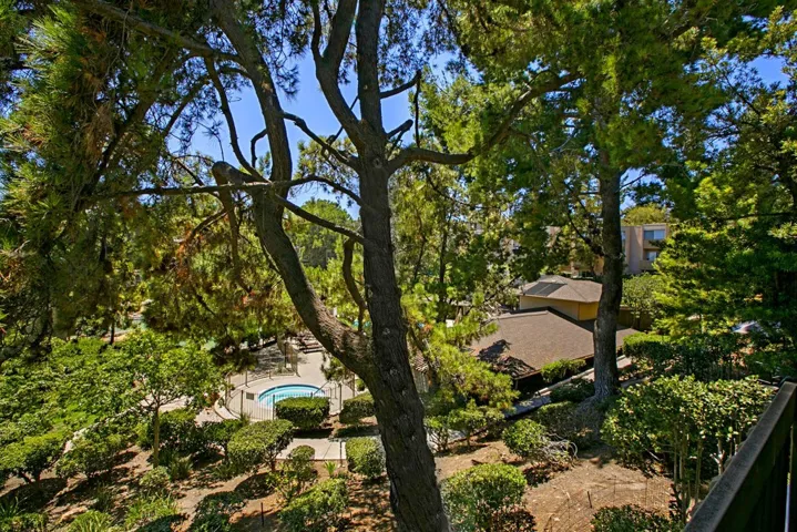 View from balcony of the condo.