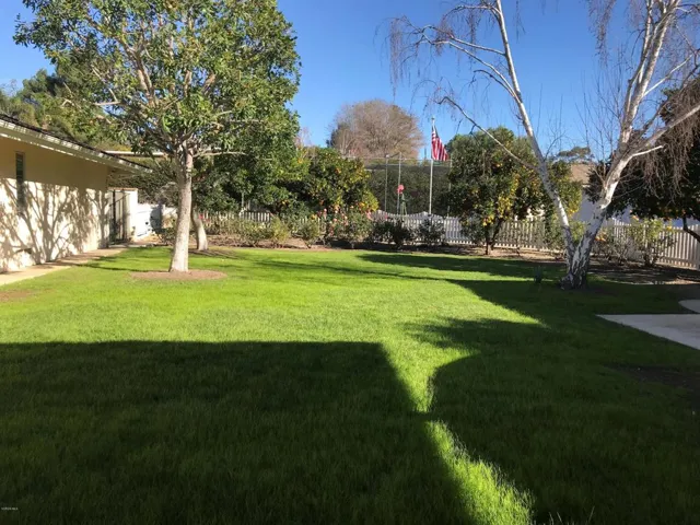 backyard 3