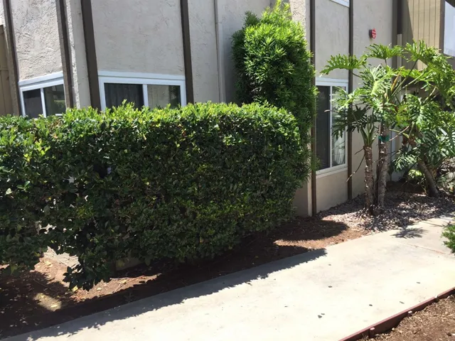 8036 Linda Vista Road 1q, San Diego, California 92111