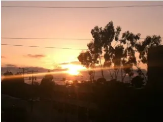 1801 Diamond Street 211, San Diego, California 92109