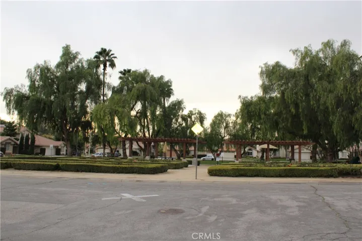 Community Park