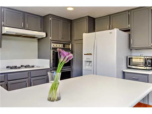 7409 Carlina Street, Carlsbad, California 92009