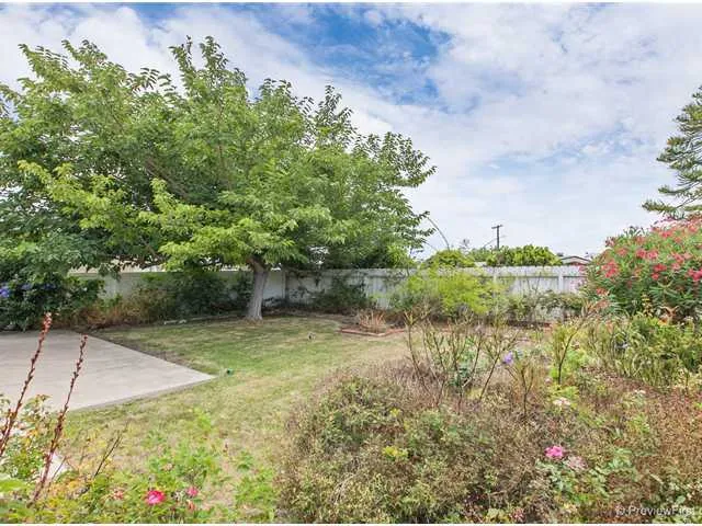 Spacious, private back yard