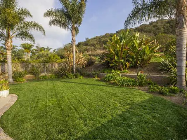 Large Back Yard Backing Canyon