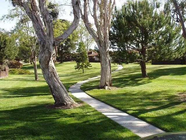 1817 Stanton Road, Encinitas, California 92024