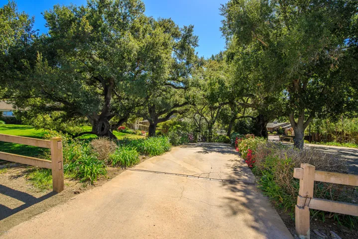 31730 Saddletree-1