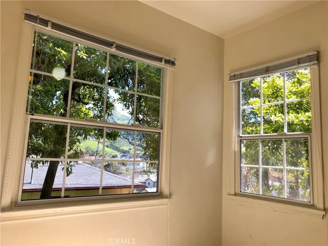View from breakfast nook.