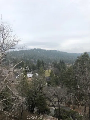 787 Del Norte Lane, Lake Arrowhead, California 92352