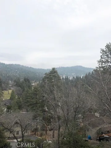 787 Del Norte Lane, Lake Arrowhead, California 92352