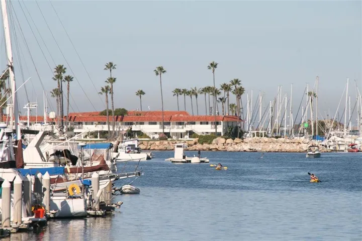 Harbor Activities