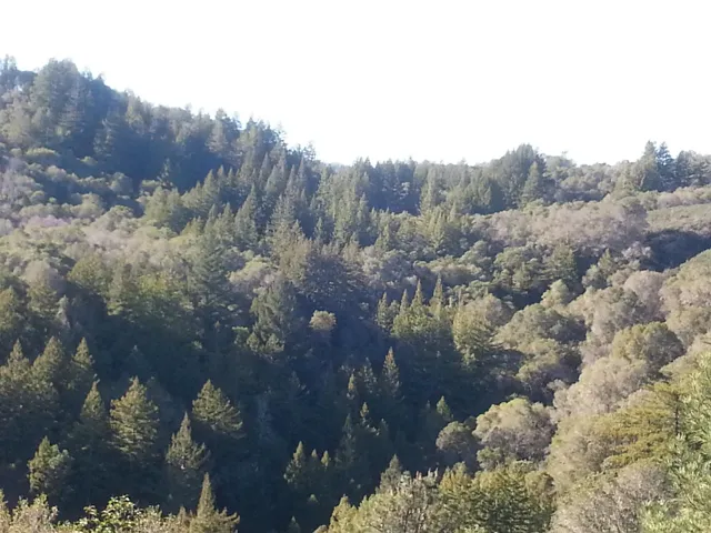 0 E Zayante Road, Felton, California 95018