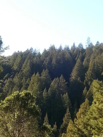 0 E Zayante Road, Felton, California 95018