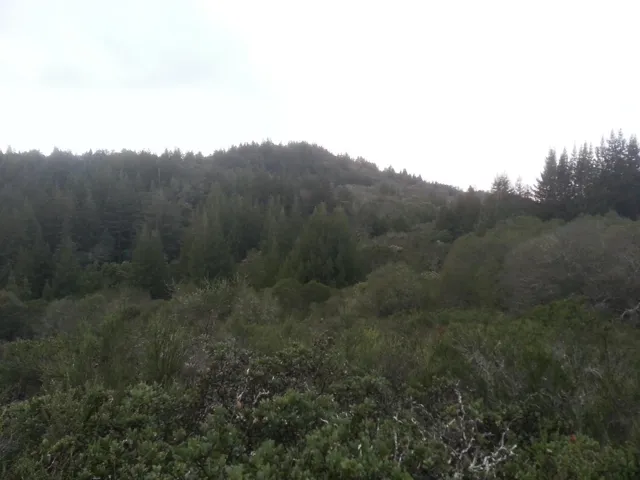 0 E Zayante Road, Felton, California 95018