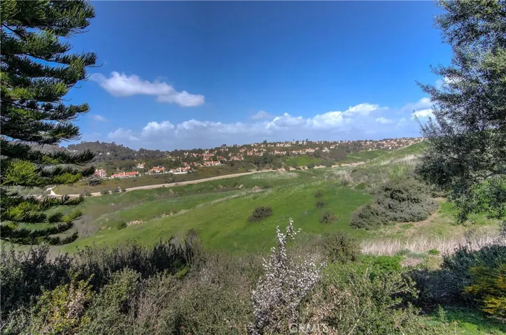 The hills are alive! Canyon location brings nature to you...plus hillside lights are lovely at night.