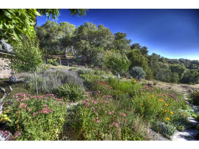 11709 Camino Escondido Road, Carmel Valley, California 93924