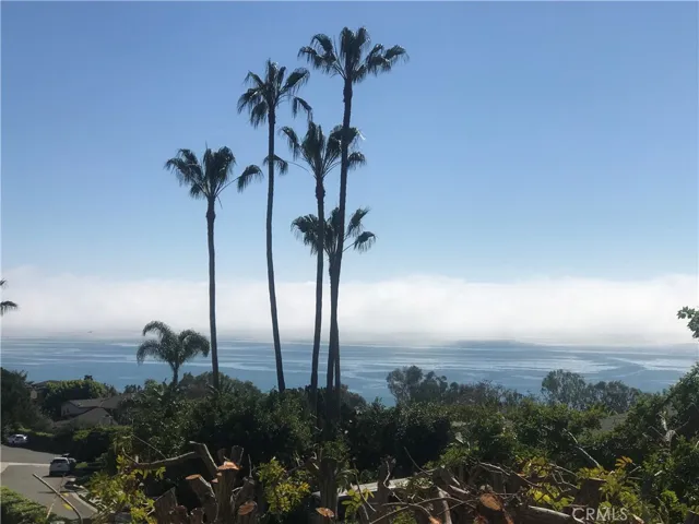 View from Master Bedroom