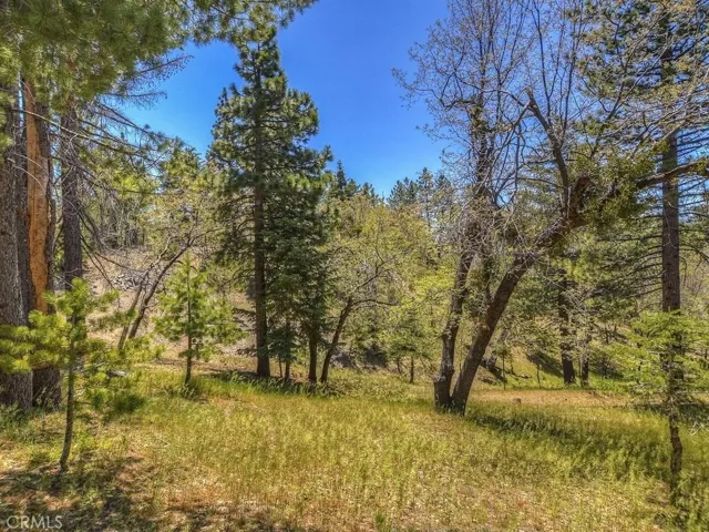 3011 Blue Bird Drive, Running Springs, California 92382