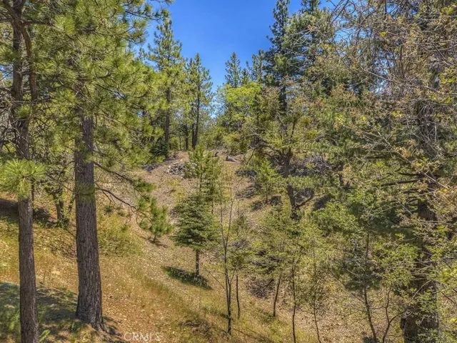 3011 Blue Bird Drive, Running Springs, California 92382