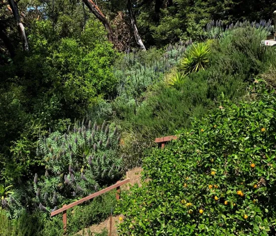 12040 Madrone Avenue, Felton, California 95018
