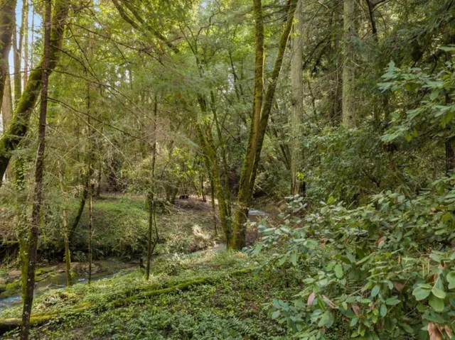 10135 Love Creek Road, Ben Lomond, California 95005