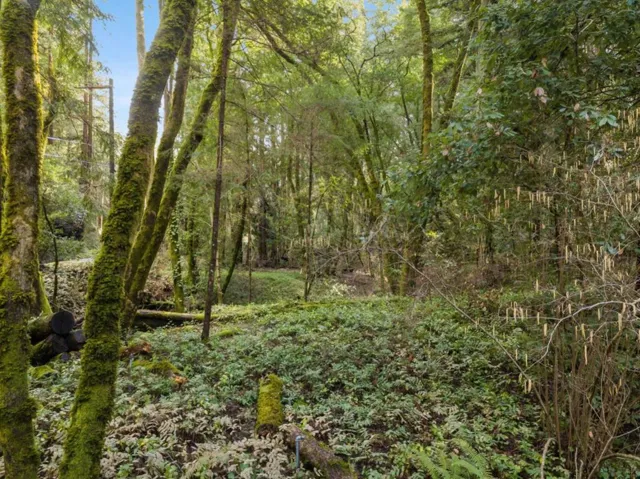 10135 Love Creek Road, Ben Lomond, California 95005