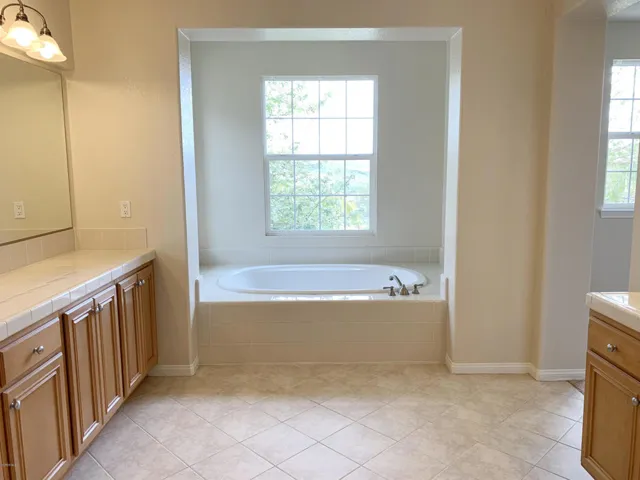 Master Bath (4)