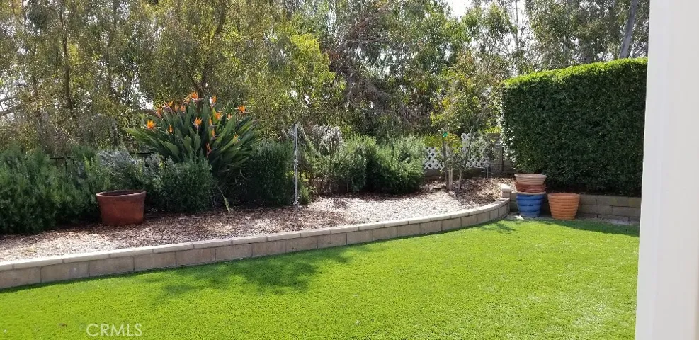 Hedge makes this a private yard.