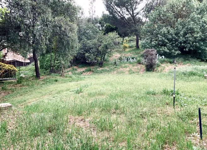 225 W Dunne Avenue, Morgan Hill, California 95037