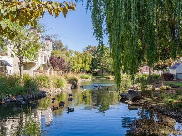 201 Shorebird Circle 201, Redwood City, California 94065