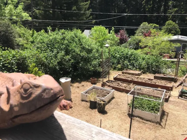 14584 W Park Avenue, Boulder Creek, California 95006