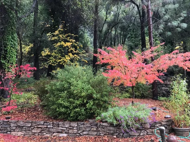 14584 W Park Avenue, Boulder Creek, California 95006